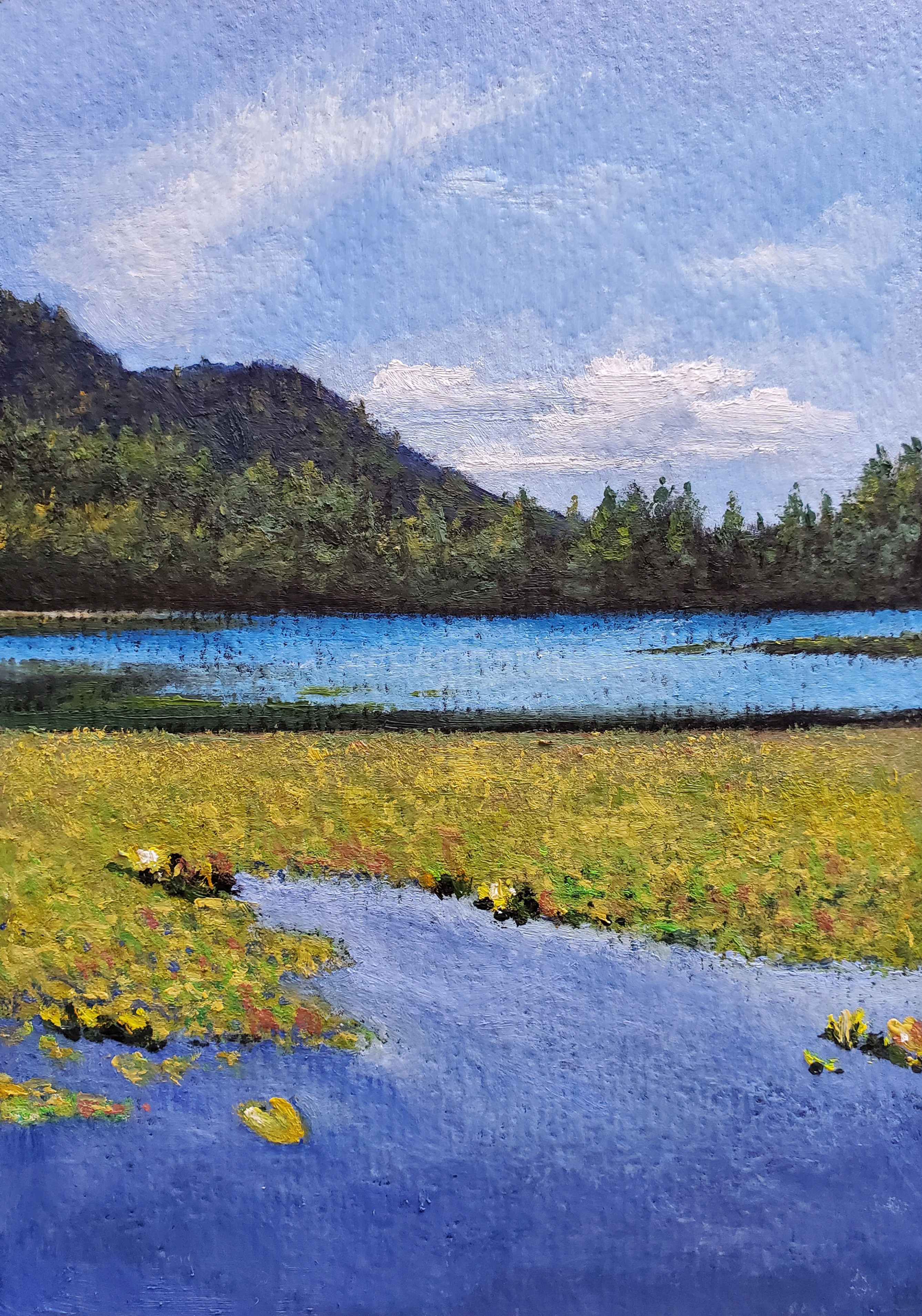 Killarney Lake - Bowen Island