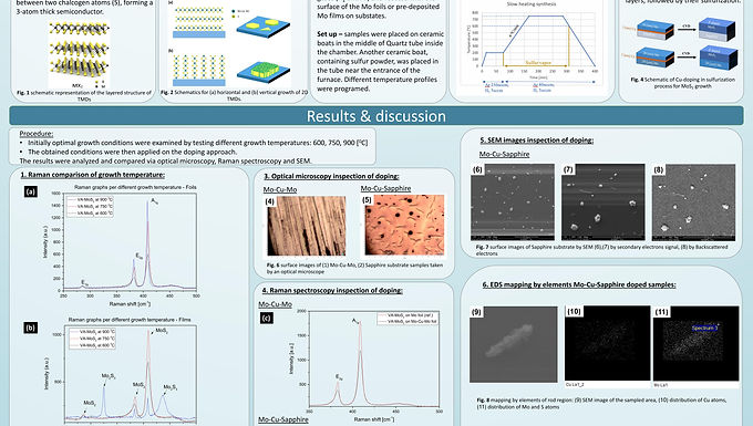 Vertically aligned transition metal dichalcogenide films Synthesis and doping