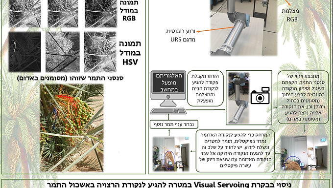 מערכת רובוטית לדילול חנטי תמר