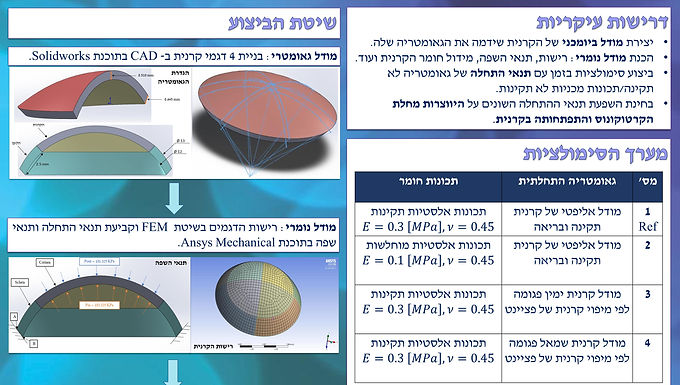 מודל ביומכני של התפתחות מחלת הקרטוקונוס