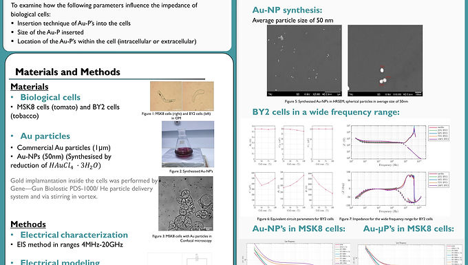 Electrical Impedance Characterization of Plant Cells with Au Particles