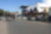 Elephant-in-town-boom-town-shopping