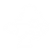 Flint Auto Vaccum