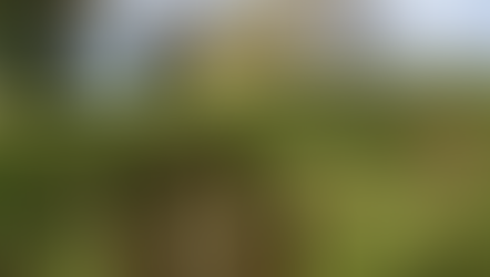 Pubble (pobal) A congregation; an open air place of assembly; also a tent or pavilion