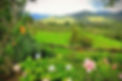 La-Serrana-View-in-Salento-Colombia.jpg