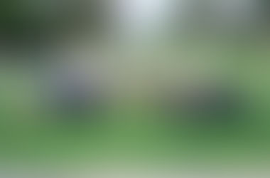 The Power of Plank. The Power of You.