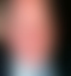 Francis L. McGarry, Jr.