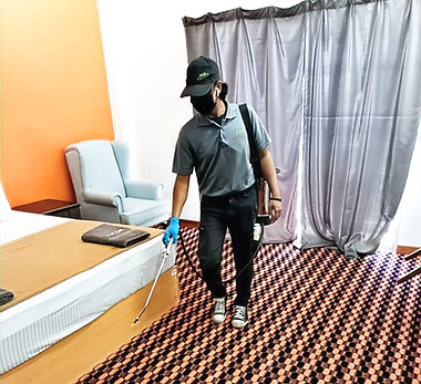 PEST CONTROL_edited_edited.jpg