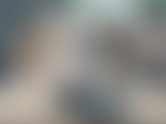 Achieve Canine Good Citizen Status with Proven Training Techniques