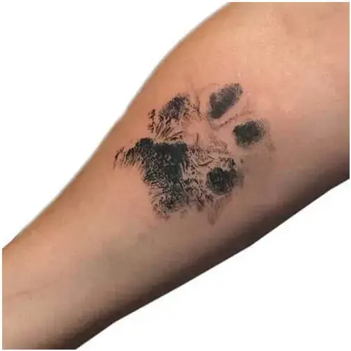 Minijatura: Paw print kit za psa s okvirom