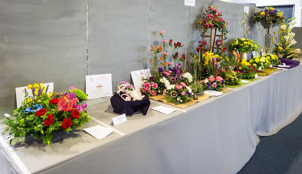 Eisteddfod 2016 DB1_7627