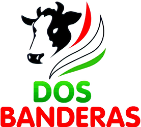 INDUSTIAL LAS DOS BANDERAS