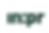 IN.PR Logo Variations-10.png