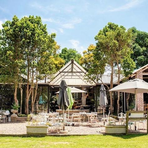 Family Bliss at Bona Terra Café