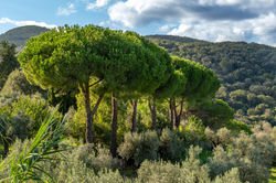 Italien2025__071