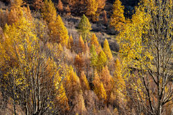 A7408800-Verbessert-NR