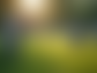 Understanding Final Expenses for Seniors: A Friendly Guide