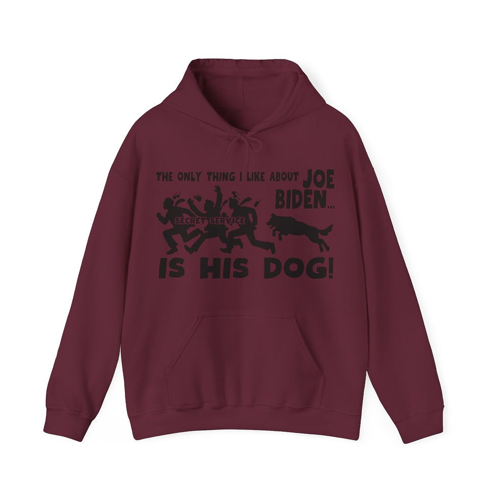 Thumbnail: What I Like About Biden! Unisex Heavy Blend™ Hooded Sweatshirt