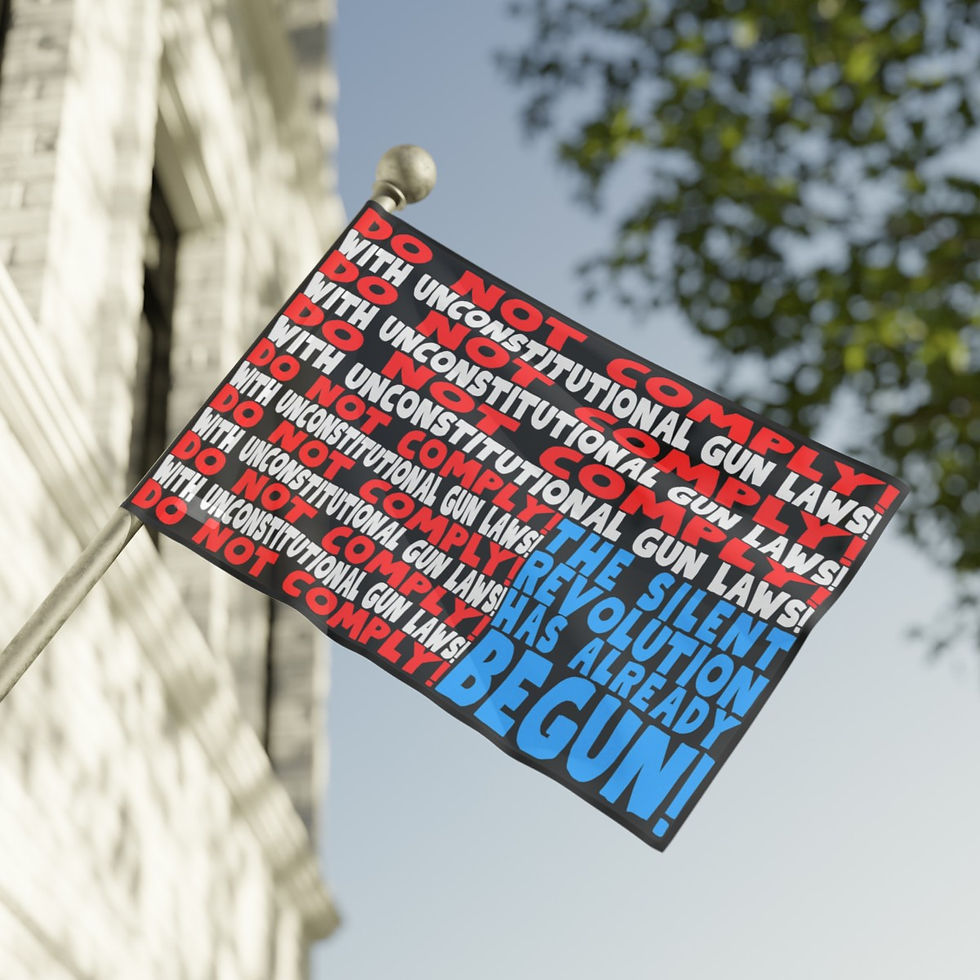 Thumbnail: Do Not Comply! Flag