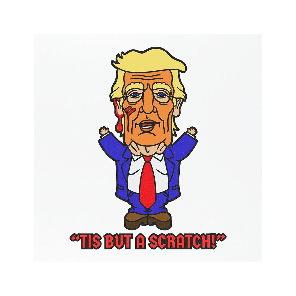 Tis But a Scratch! Car Magnets