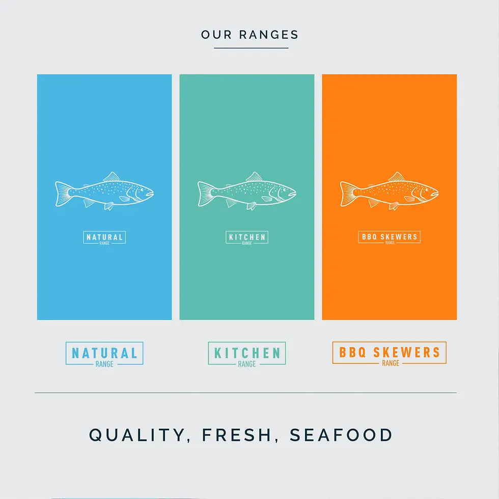 00_D16_Portfolio-Square-RAMUS_brand-colours.webp