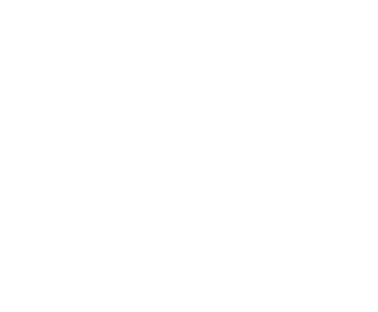 D16-logo-Services-Roll+v1.gif