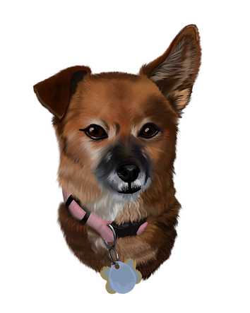 chiweenie painting dog childhood pet digital painting artwork