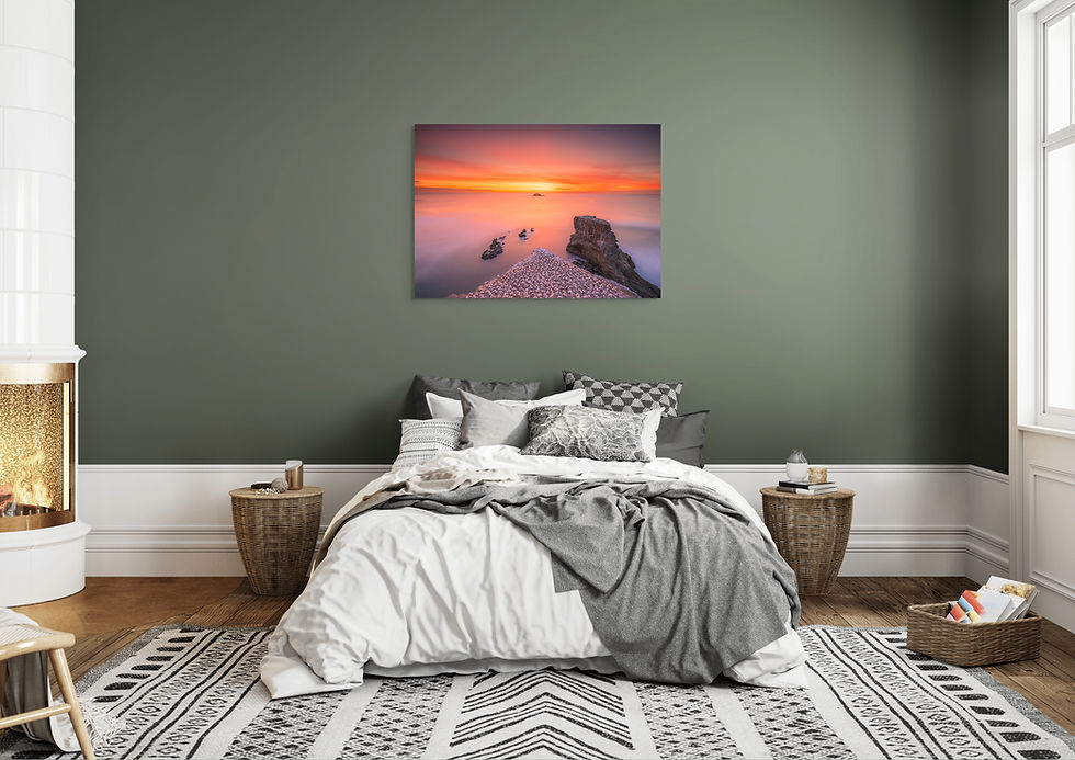 Thumbnail: Muriwai Gannet Colony Sunset