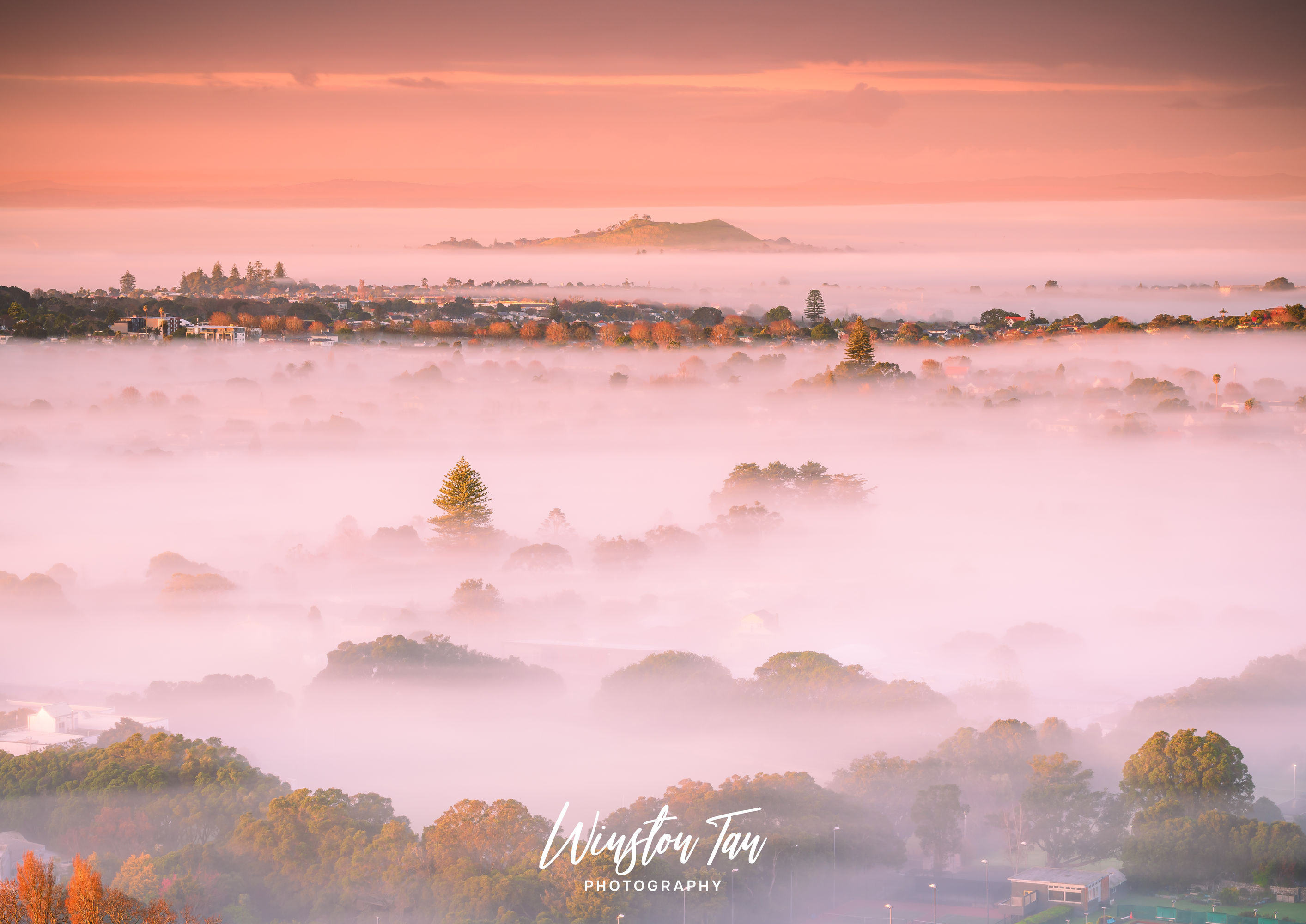 Auckland Winter Fog