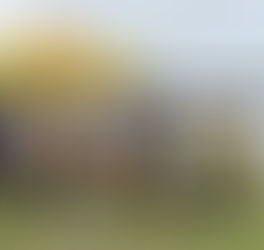 Taree Summer Regatta