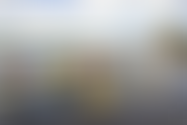 Taree Summer Regatta