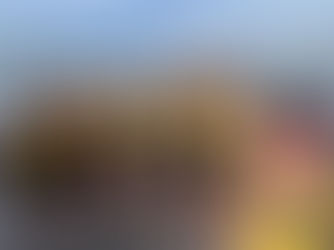 Balmain Rowing Club Regatta