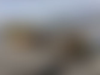 Iron Cove Classic Series