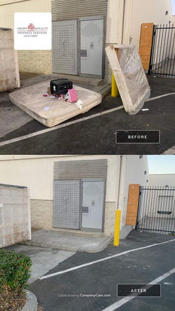 Before and After-5-Dec 01 2024 06_11pm-mfCa