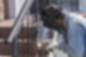 railing Welding and metalwork.jpeg