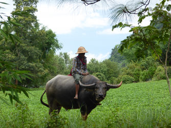 Trek autour du lac Inle