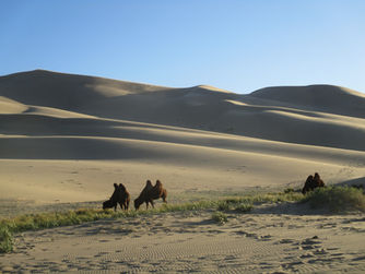 Arrivée en Mongolie, départ en van pour le Gobi