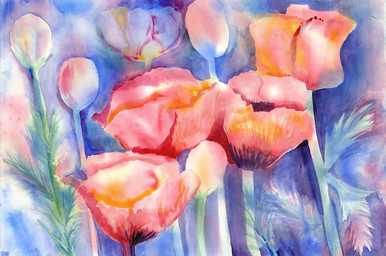Poppies 2.jpg