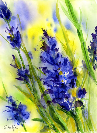 Delphinium.jpg