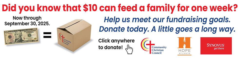Synovus-Fundraiser-Website.jpg