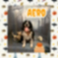 Aero