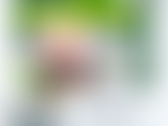 Qué es Ho´oponopono