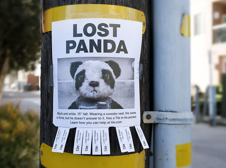 Lost Panda