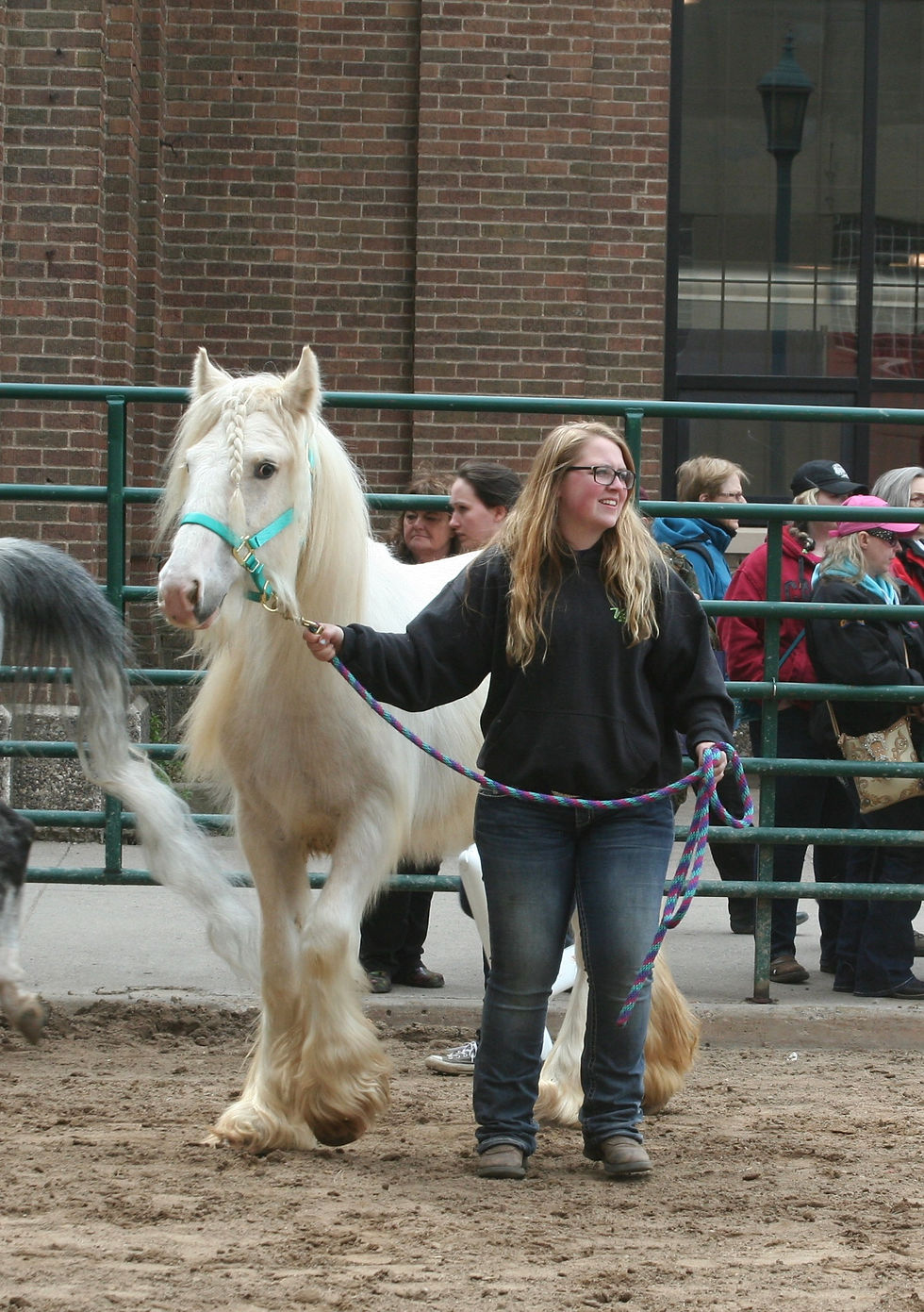 Sadie at MN Horse EXPO