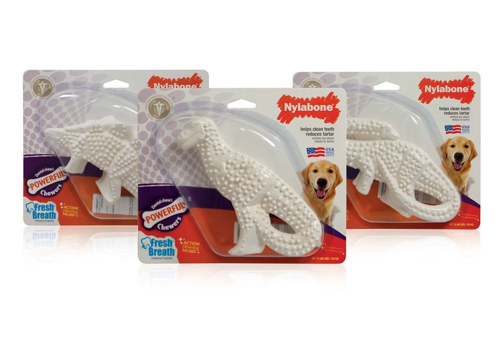 3 Best Dog Toys for Heavy Chewers in 2020 (Sample B2C Article)