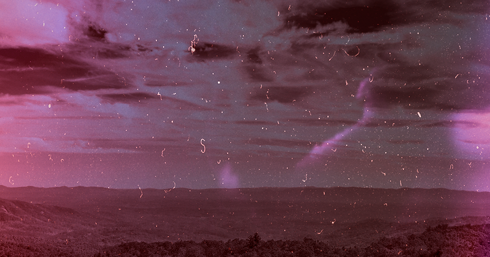 Red Banner.png