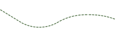 Vector 71.png