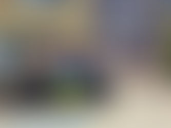 Kolēģi no Igaunijas un Ukrainas