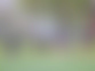 1. vieta minifutbolā