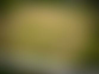 1.septembris - Zinību diena